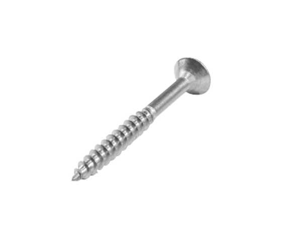 _wpframe_custom/gallery/files/wpf_shops_products/t_torx-edelstahlschraubenpng_1652954558.png