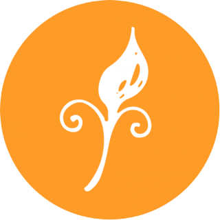 _wpframe_custom/gallery/files/wpf_sitemanager/t_t_asthetik_iconpng_1513181003png_1513883523.png